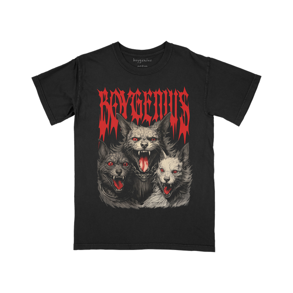 boygenius Official boygenius Official