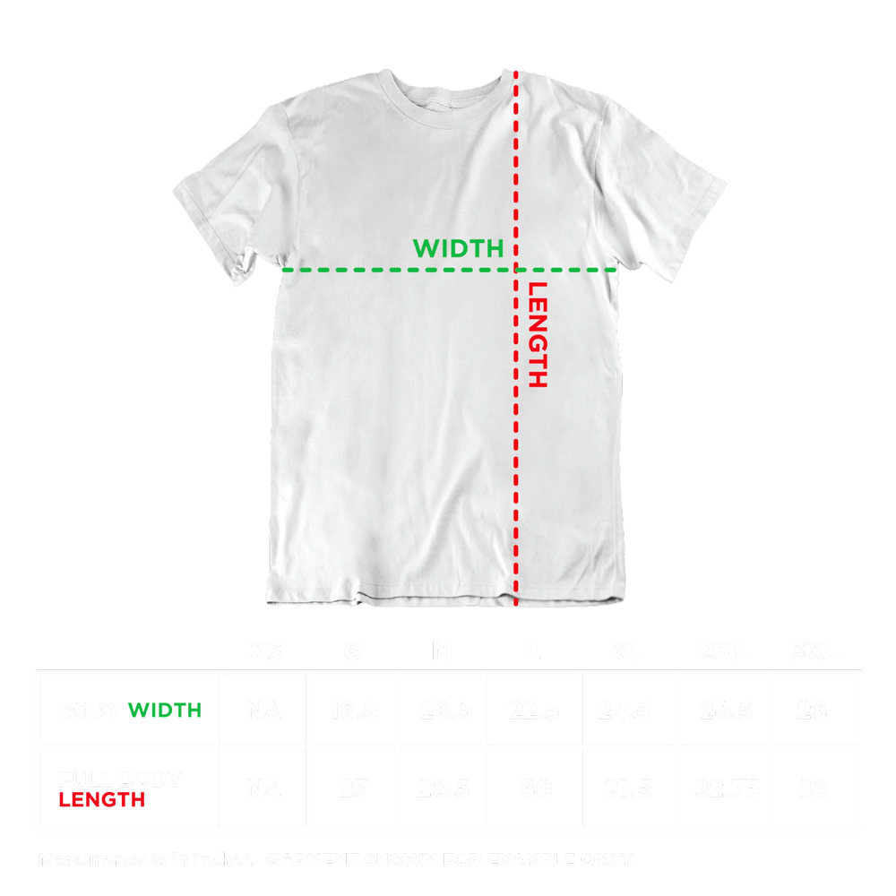 Eagle Tee boygenius Official